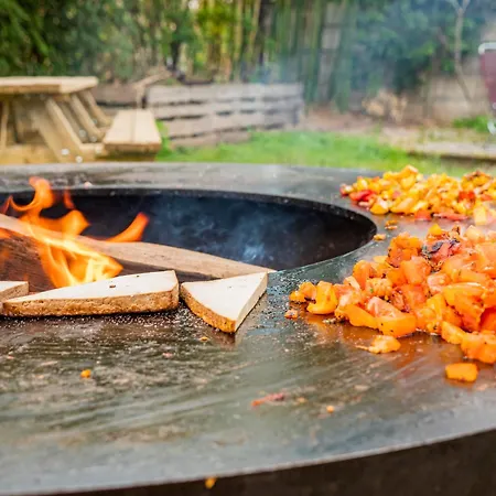 Youth Hostel Avenches